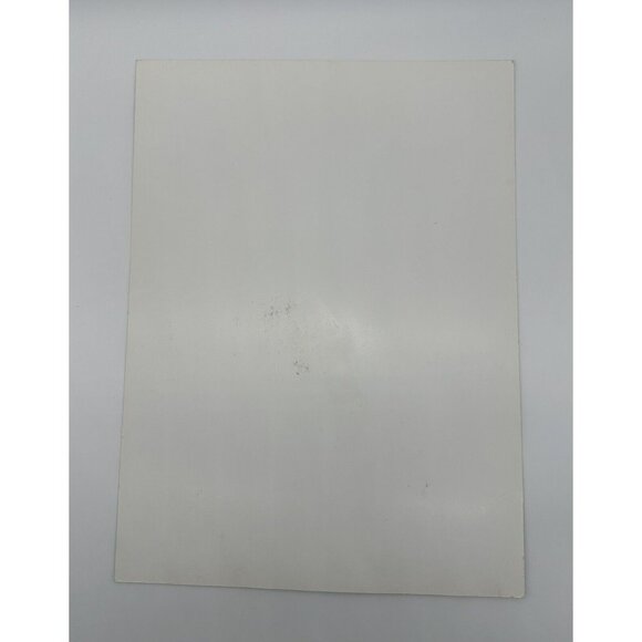 Hardly Strictly Bluegrass Poster 2011 John Mavroudis San Fransisco Moonalice - Picture 3 of 13